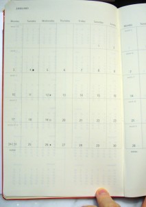 P1030100